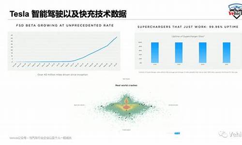 特斯拉股东构成前十_特斯拉最大股东