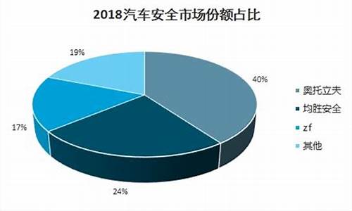 汽车安全系统的市场_汽车安全系统未来的发展