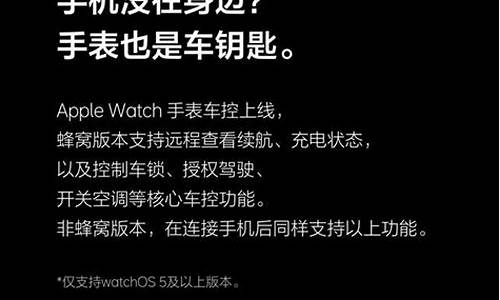 理想汽车可以手机投屏吗,理想汽车支持什么手机