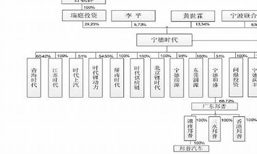 比亚迪集团组织架构-比亚迪集团组织架构的发展